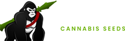 Gorilla Cannabis Seeds