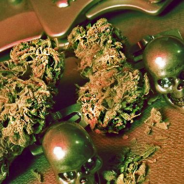 pineapples seeds