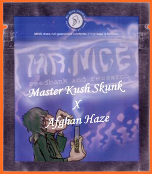 Master Kaze Regular Seeds (Master Kush Skunk x Afghan Haze)