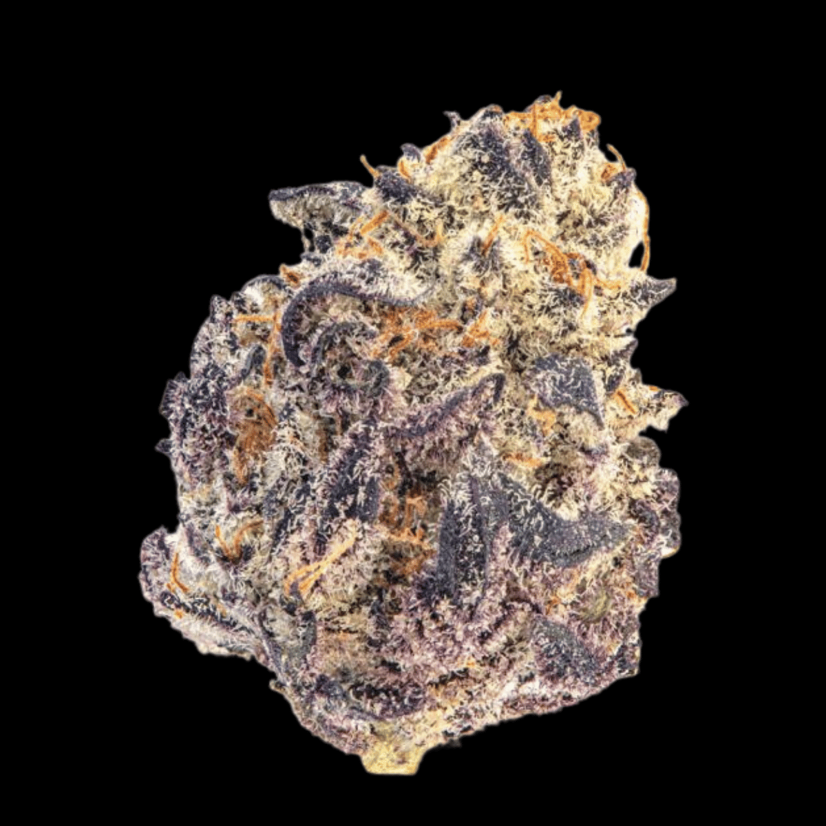 Cherry Mac Muffin by Growers Choice – Sweet Feminised Cannabis Seeds