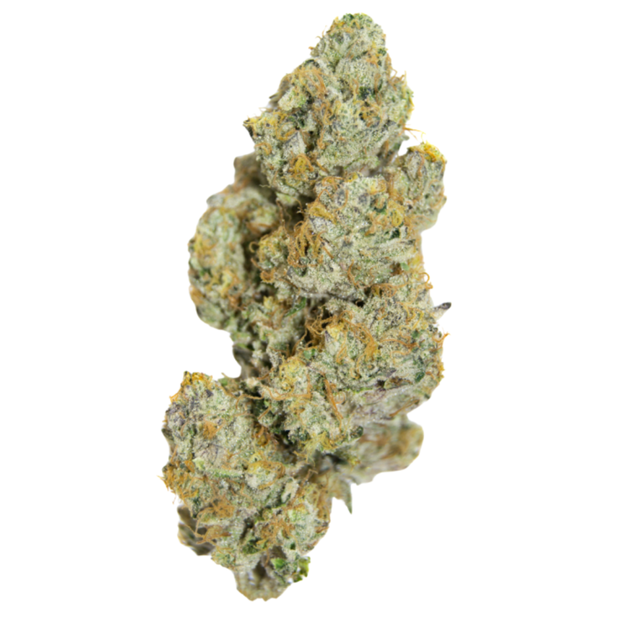 Cherry 7up Auto by Growers Choice