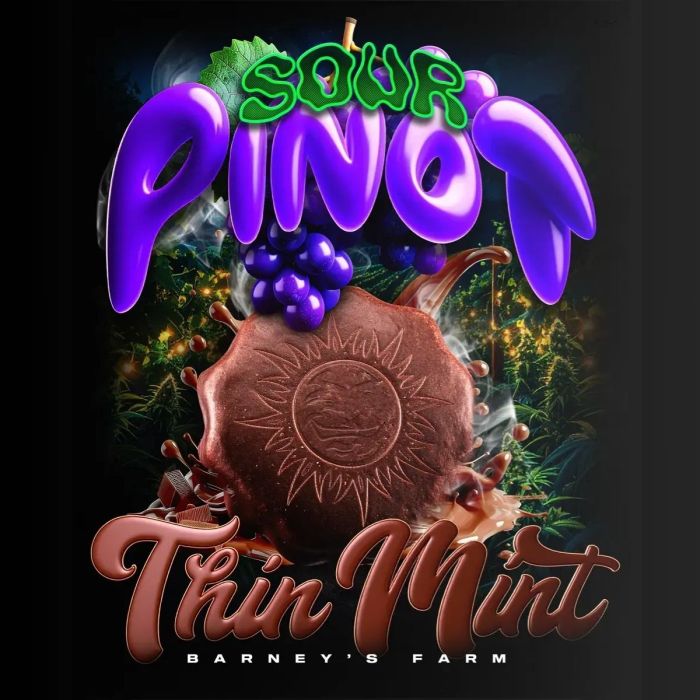 Thin Mint x Sour Pinot Auto