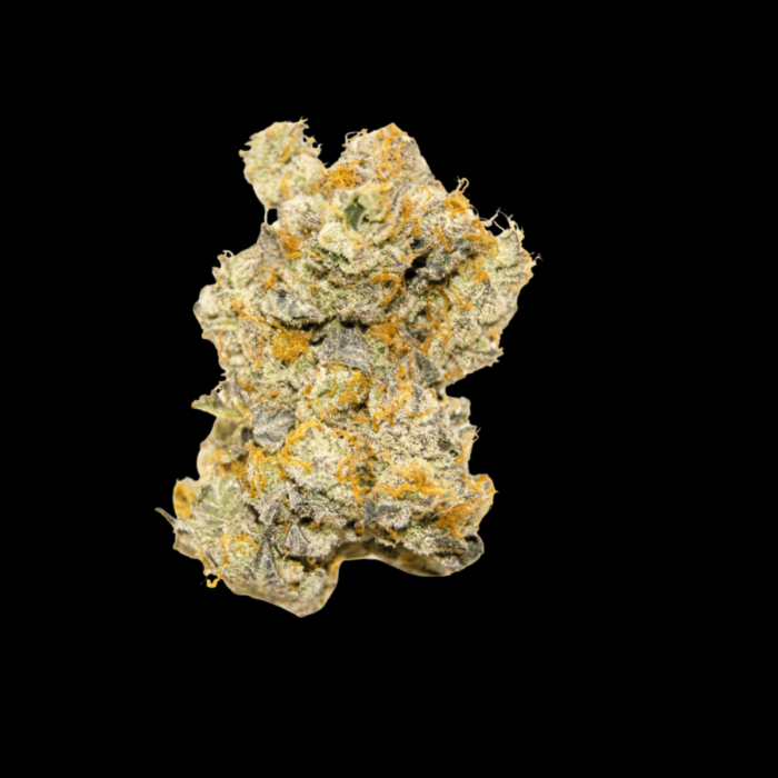 White Truffle Auto – Limited Edition