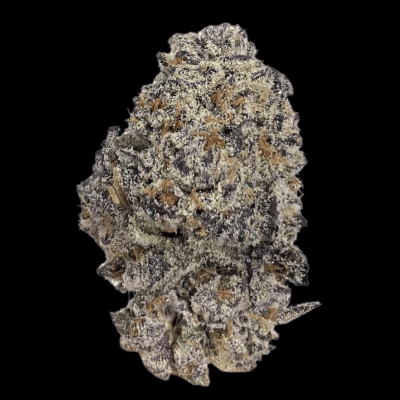 Original Oreoz Feminized Cannabis Seeds