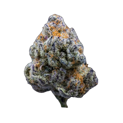 Platinum Mimosa Cookies Cannabis Seeds