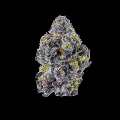 Triploid F1 Sticky Wasabi Feminized Seeds