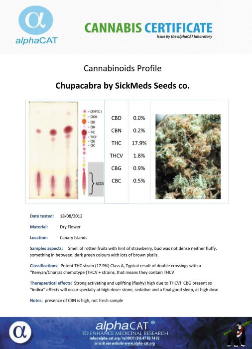 Chupacabra Regular Seeds