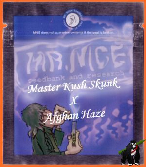 Master Kaze Regular Seeds (Master Kush Skunk x Afghan Haze)
