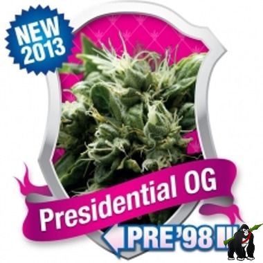 Presidential OG