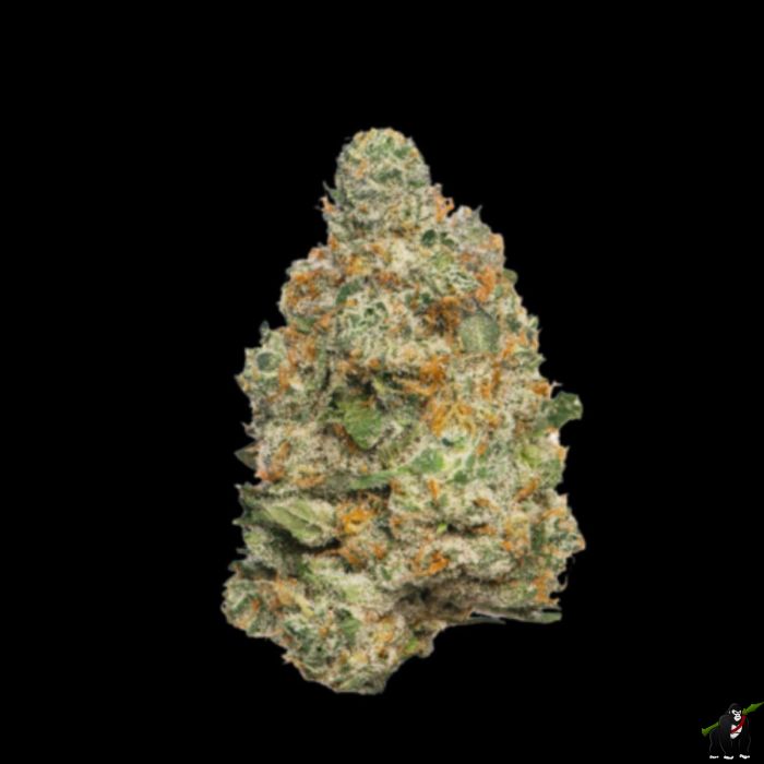 Apple Fritter Autoflower