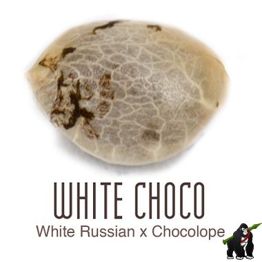 White Choco