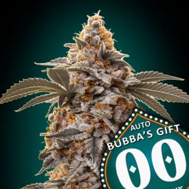 Auto Bubba