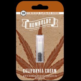 California Cream Feminized