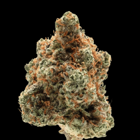 Monkey Glue Autoflowering Feminized Seeds