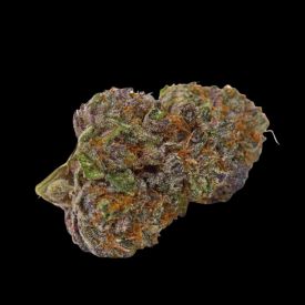 Purple Dosi Punch Feminized Seeds