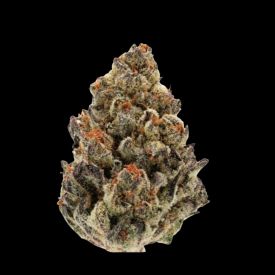 Bruce Banner III Feminized Seeds