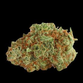 Monsterbud Autoflowering Feminised Seeds