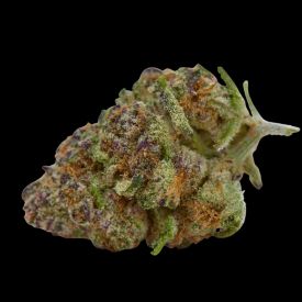 Purple Sunset Autoflowering Feminized Seeds
