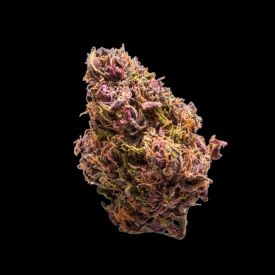 Red Jack Autoflowering Feminised Seeds