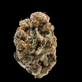 KO Kush Feminized Seeds