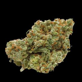 The Real Amnesia Autoflowering Feminized Seeds