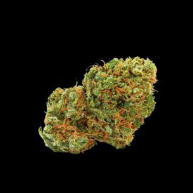 Grapefruit x Bubblegum Autoflowering Seeds Feminized