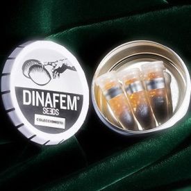 DinaFem Mix