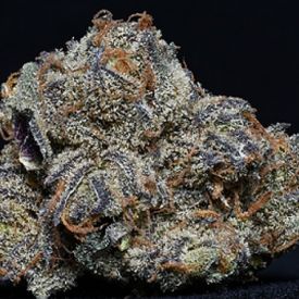 Granddaddy Purple