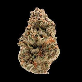 Rainbow Candy Autoflowering Feminised Seeds