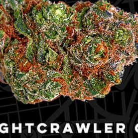 Nightcrawler OG