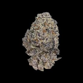 Original Oreoz Feminized Cannabis Seeds
