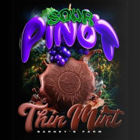 Thin Mint x Sour Pinot Auto