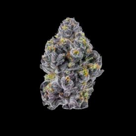 Triploid F1 Sticky Wasabi Feminized Seeds