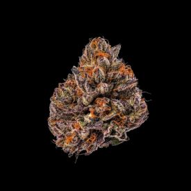 Triploid F1 Tropicana Cherry Feminized Seeds