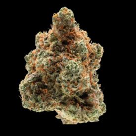 Monkey Glue Feminized Seeds