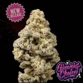 Mac ‘N’ Cheese Feminized Seeds
