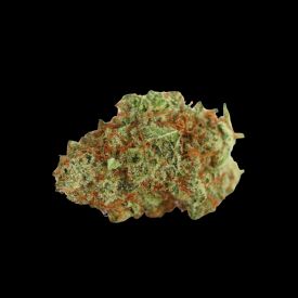Monsterbud Feminized Seeds