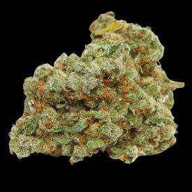 Banana Sherbet Feminized Seeds