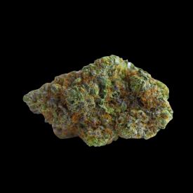 Blue Forest Berry Feminized Seeds