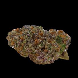 Blue Dream Sherbet Autoflowering Feminised Seeds