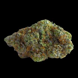 Blue Forestberry Autoflower