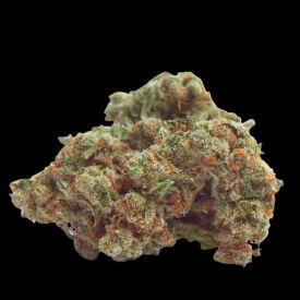 Gorilla Cookies Feminized Seeds