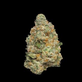 Apple Fritter Autoflowering Feminized Seeds