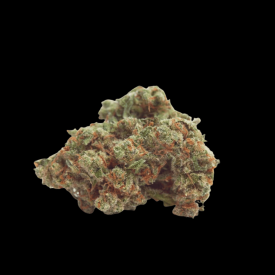 Gorilla Cookies Auto Feminized Seeds