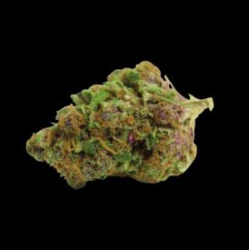 Double xl Red Banana Auto Feminised Seeds