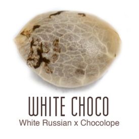 White Choco