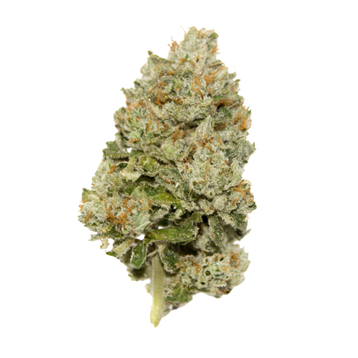 Lemon Zkittlez Auto by Growers Choice