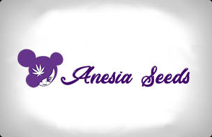 Anesia Seeds