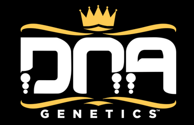 DNA Genetics