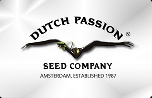 Dutch Passion